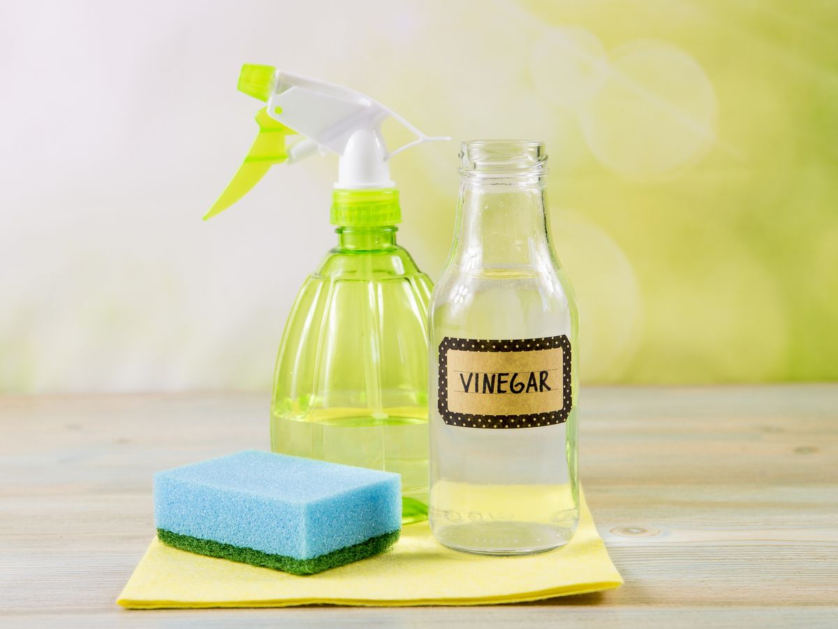 Why Vinegar is Your Best Friend