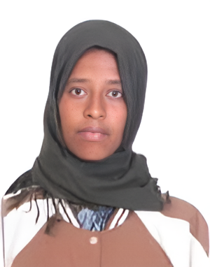 Meseret Abeba Lafebo