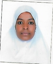 SINKE KEBABA NAGASA