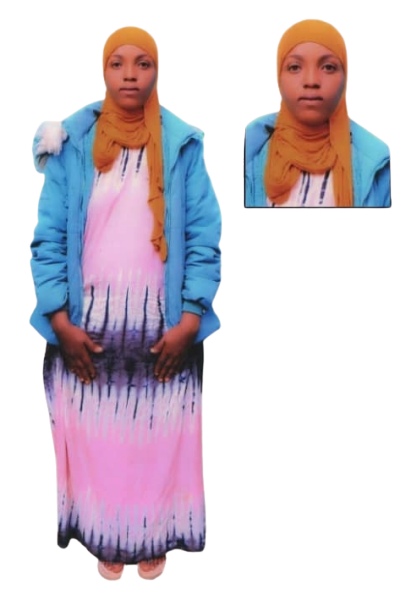 MEKIYA KAWO DENBOBA Full Profile