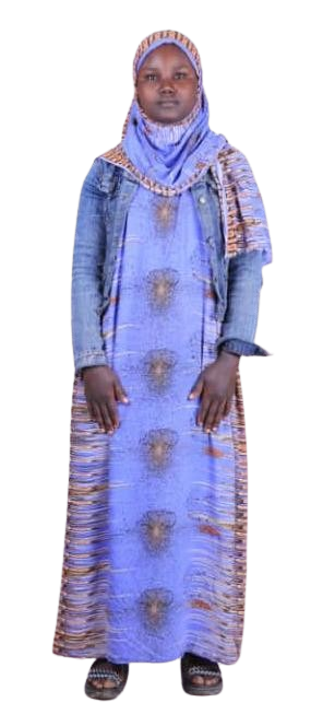 Ametu Seyid Ahmed Full Profile